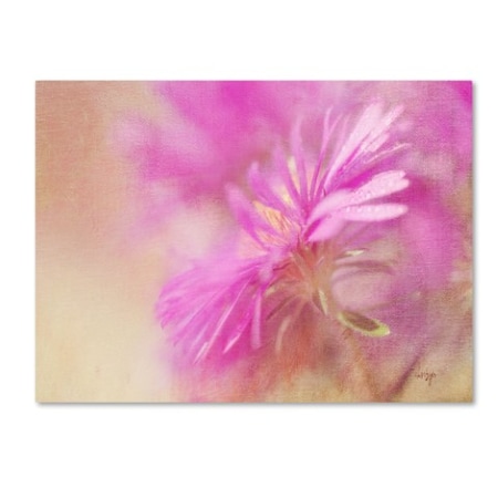 Lois Bryan 'Dewy Pink Aster' Canvas Art,22x32